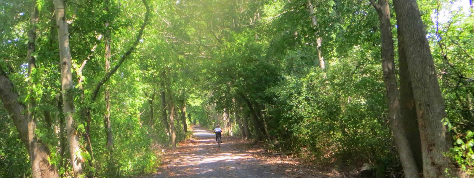 cayuga seneca canal trail go finger lakes