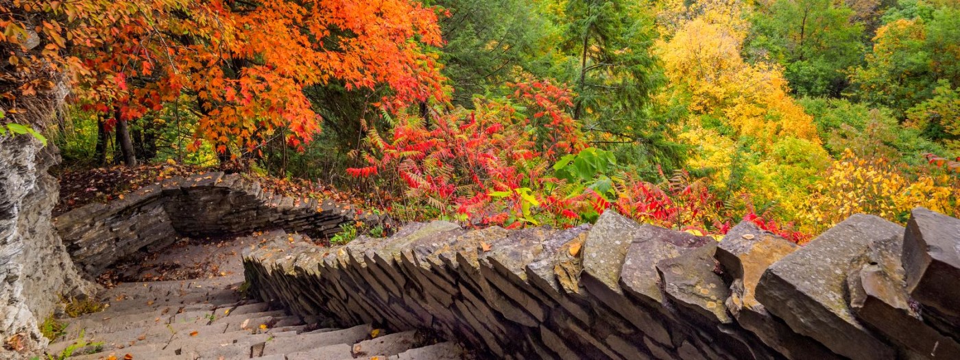 Robert H Treman State Park Ny