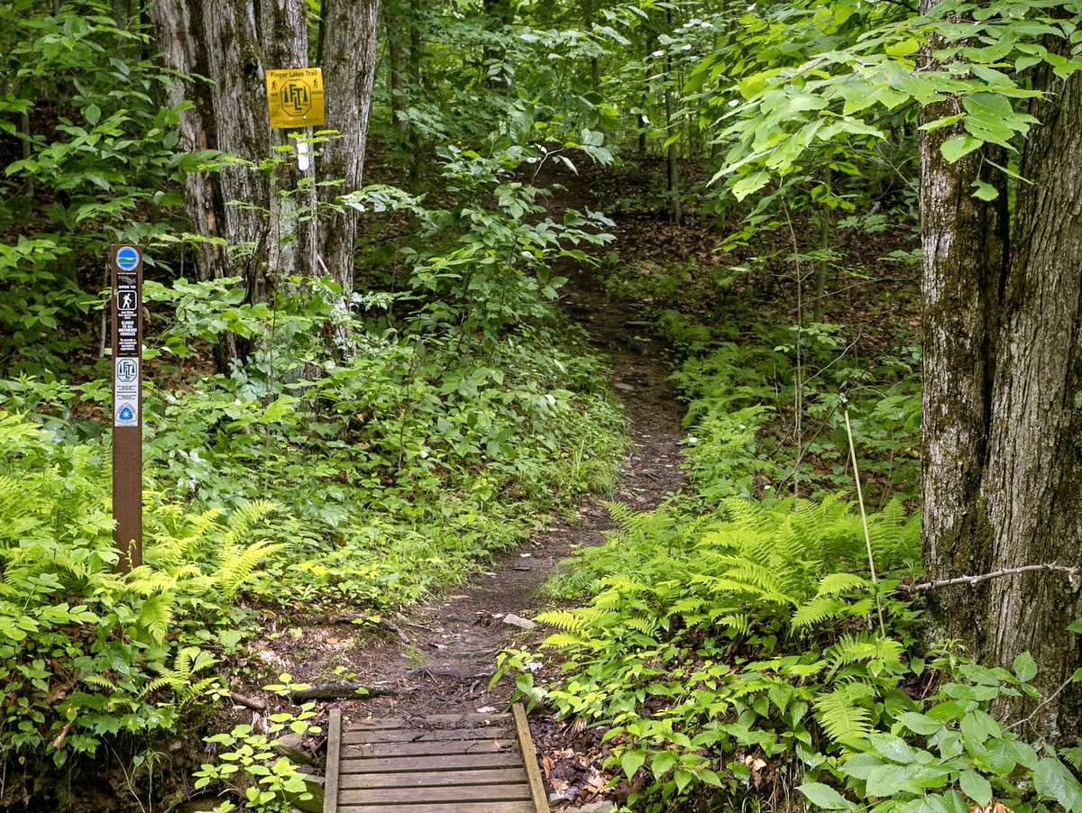A trail through the forest with tree signs