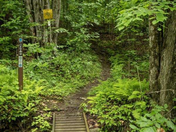 The Finger Lakes Trail and wooden bridge