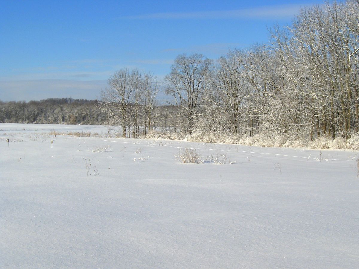 Montezuma National Wildlife Refuge – Go Finger Lakes