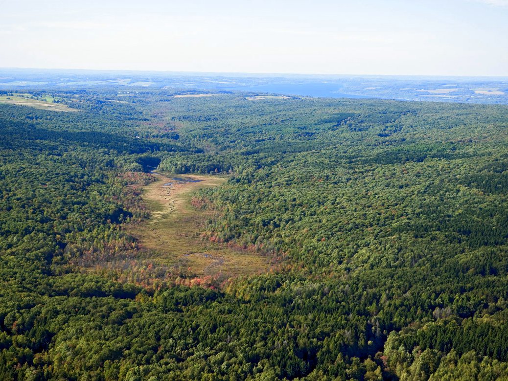 An aerial view of green forested lands