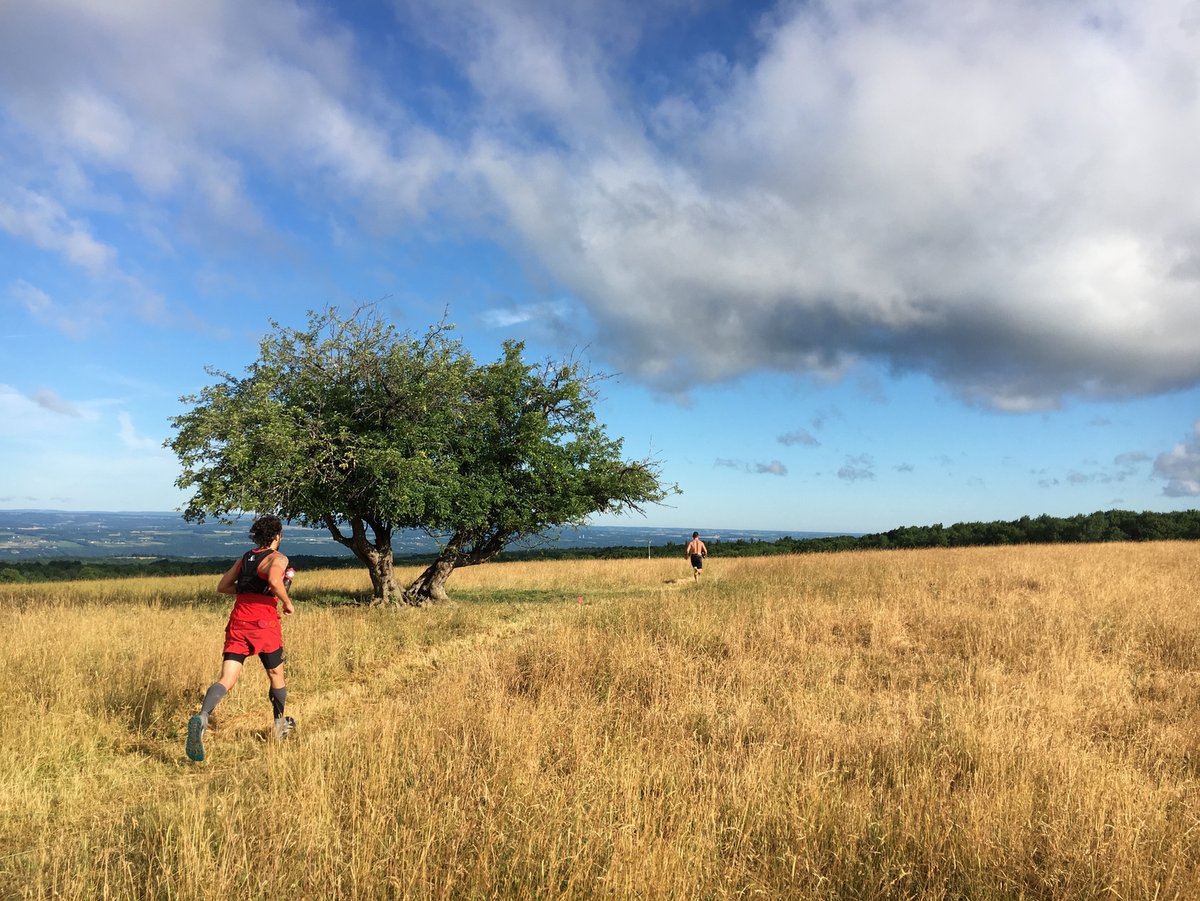 Two trail runners passing through an open pasture