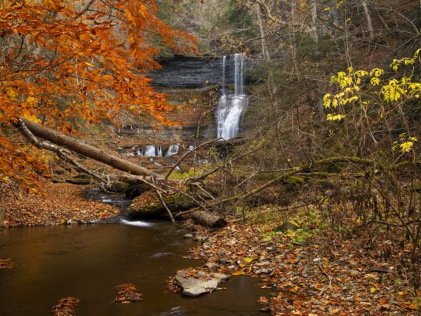 A waterfall framed by the red leaves of a tree