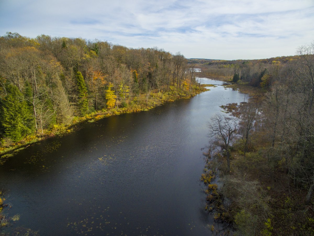 An aerial view of Bear Swamp Creek