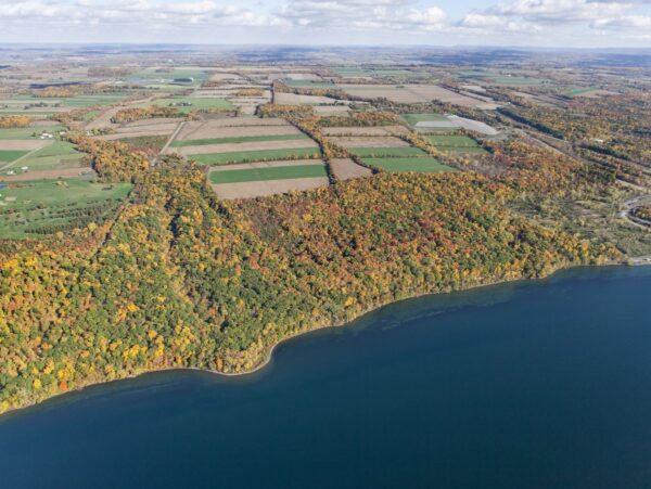 An aerial view of fields, forests, and a lake