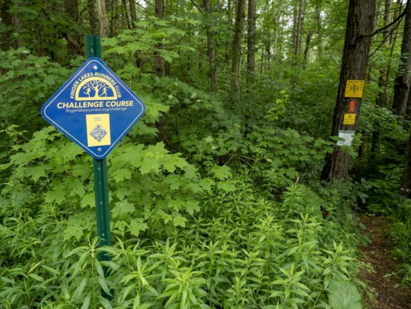 A wooded trail with signs for the Finger Lakes Trail and Finger Lakes Runners Club Challenge Course