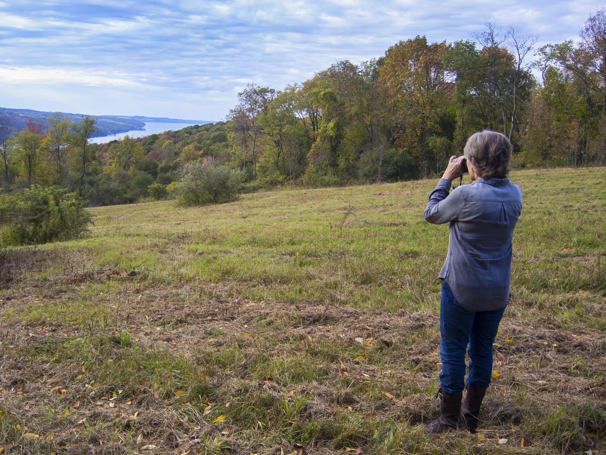 Birding at Hinchcliff Family Preserve on Skaneateles Lake