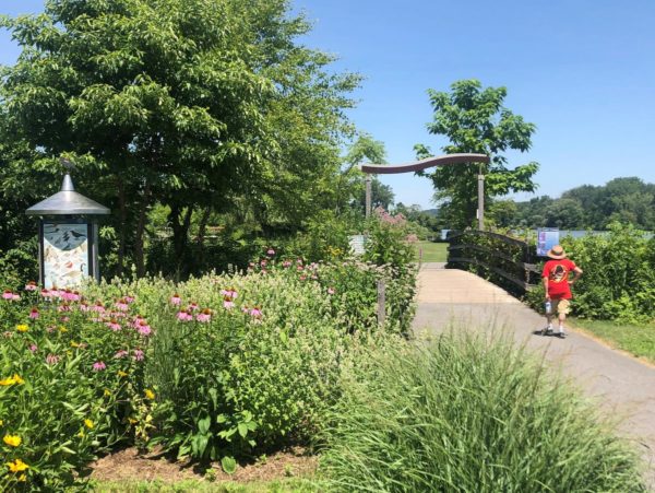 A person walking along the trail