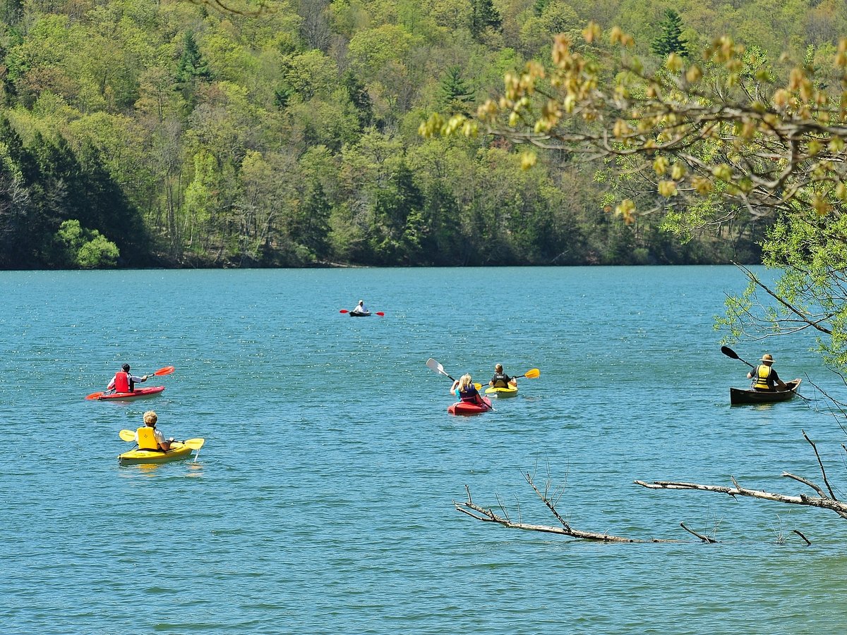 People kayaking on a lake