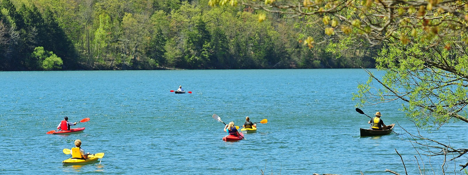 Public Outdoor Events Go Finger Lakes