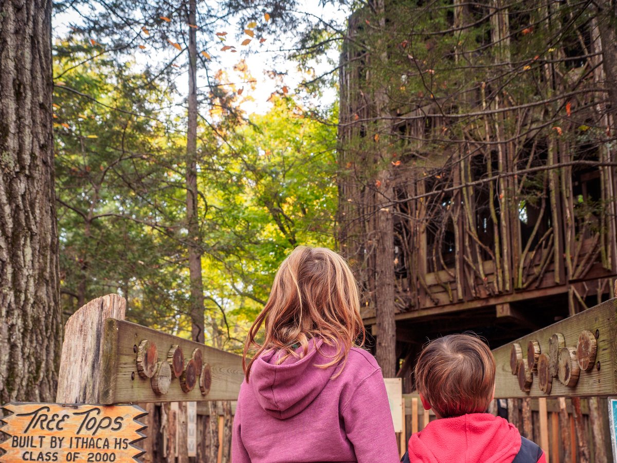 Two children looking at a treehouse