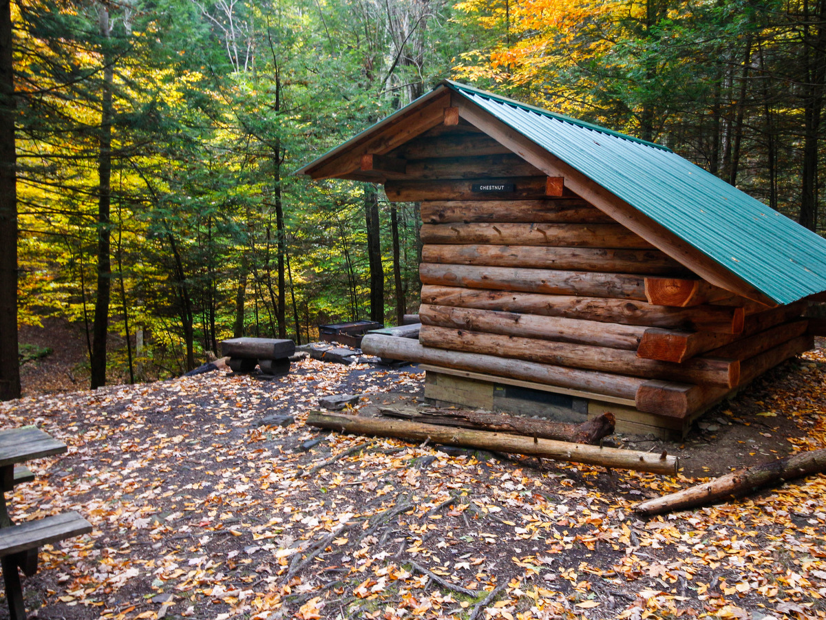 A lean-to shelter