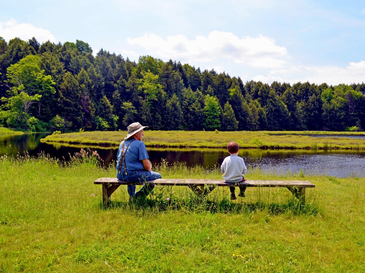 Two people sitting on a bench by a wetland area