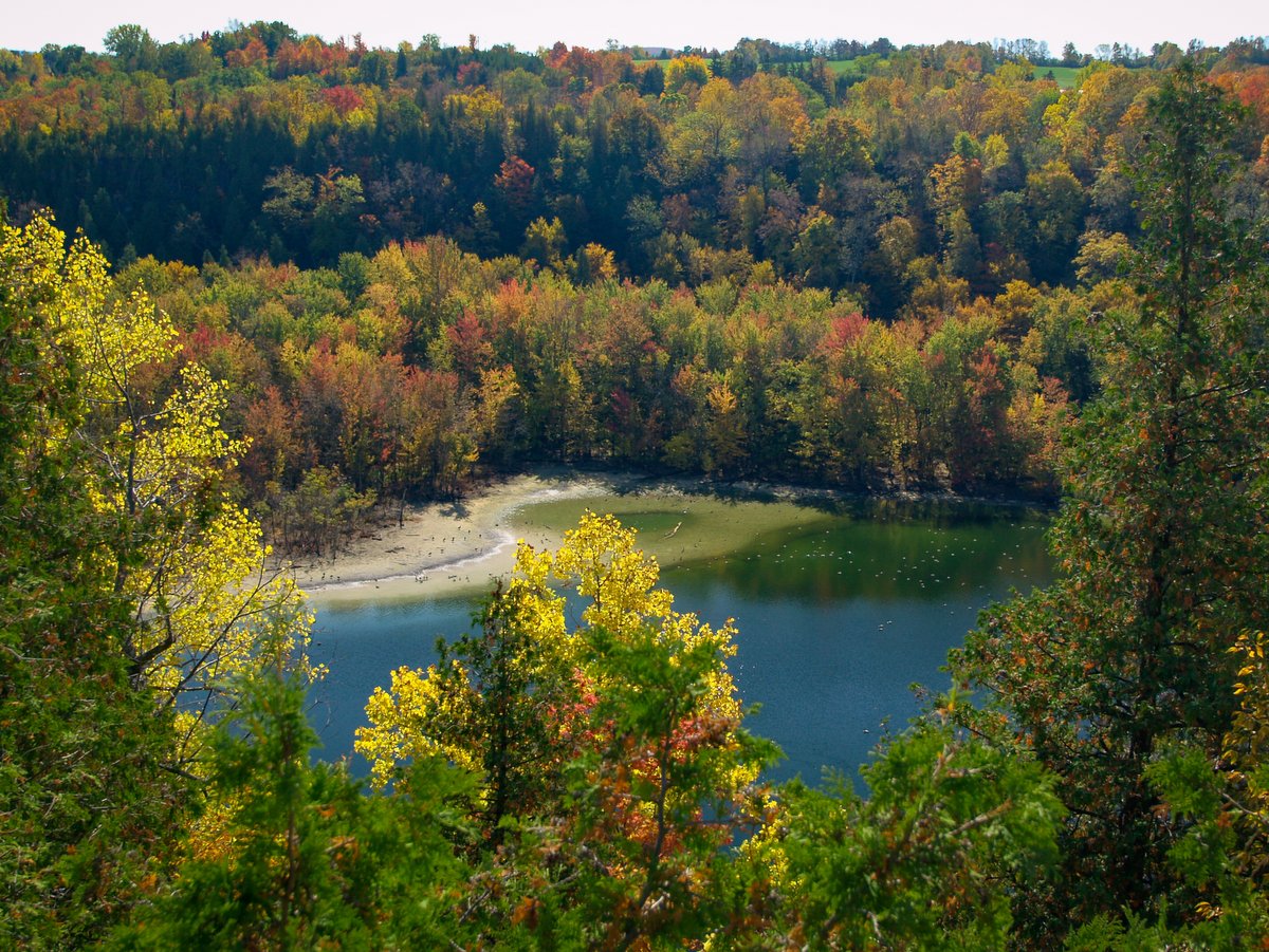 A small blue lake surrounded by trees