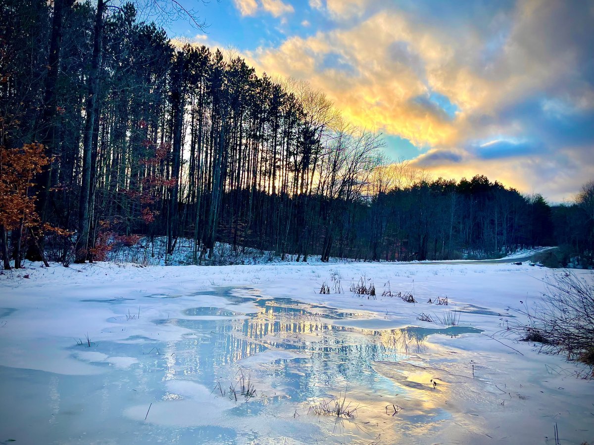 A frozen pond at sunset with bare trees in the background