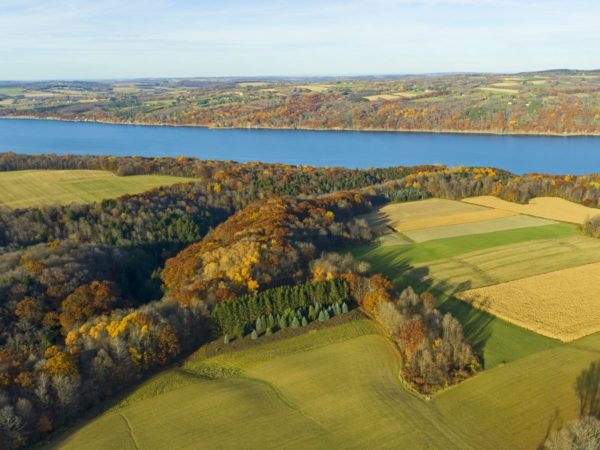 An aerial view of a forested gorge, surrounding farmland, and a lake in the distance