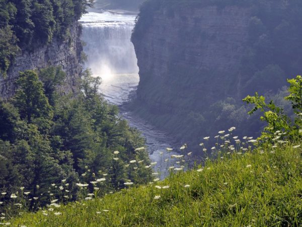 A view of a waterfall through a narrow gorge