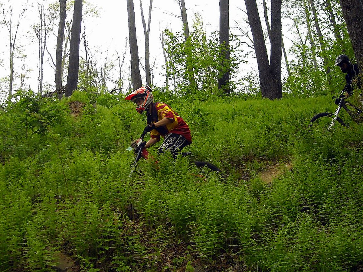 People mountain biking in the forest