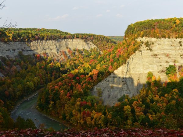 A view of the gorge and river with autumn colors