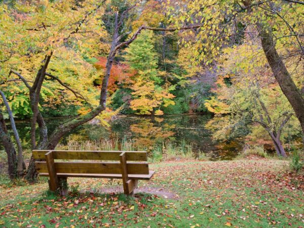 A wooden bench overlooking a lake in fall
