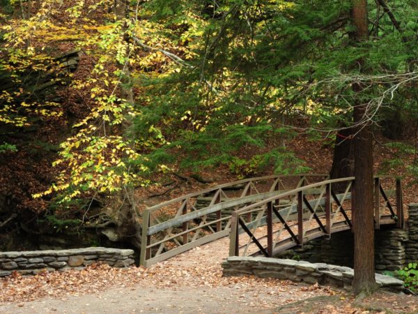 A wooden foot bridge covered in fallen leaves