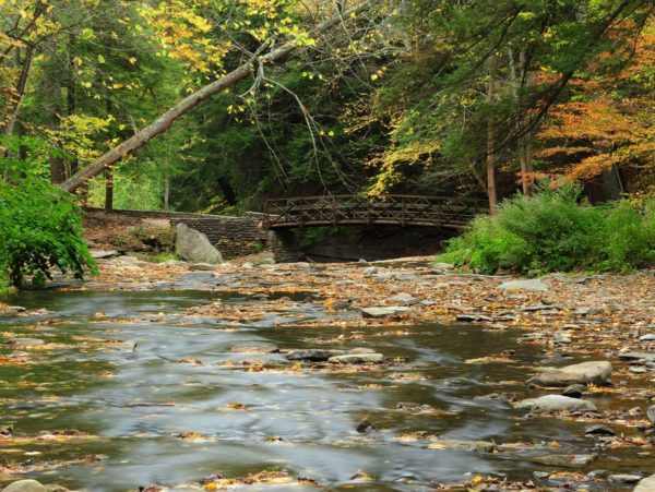 A creek with a wooden foot bridge in the background