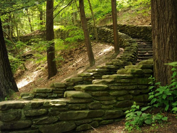 A stone staircase through the woods