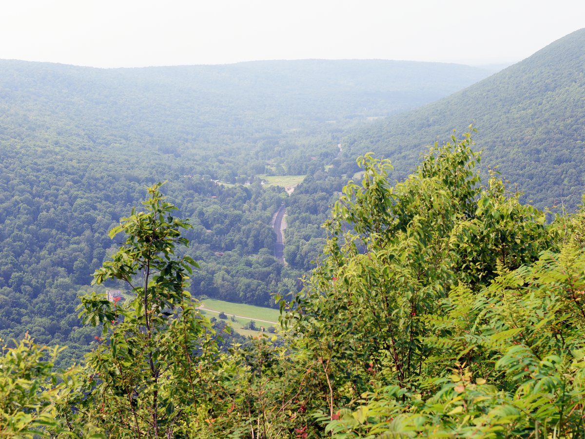 A scenic vista of green hills