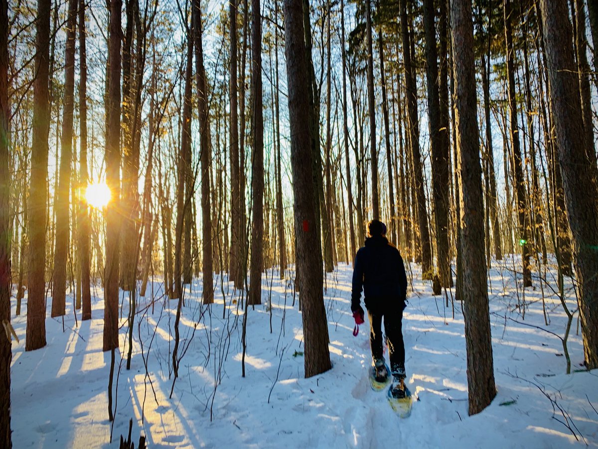 A person snowshoeing in the woods at sunset