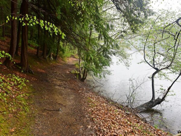 A walking path bordering a lake on a rainy day