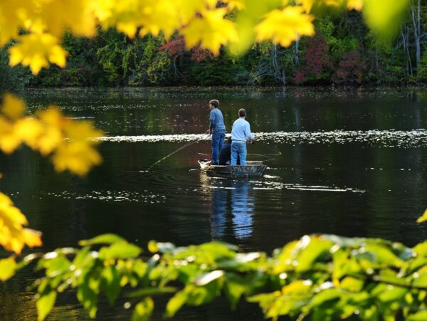 Two people fishing from a row boat