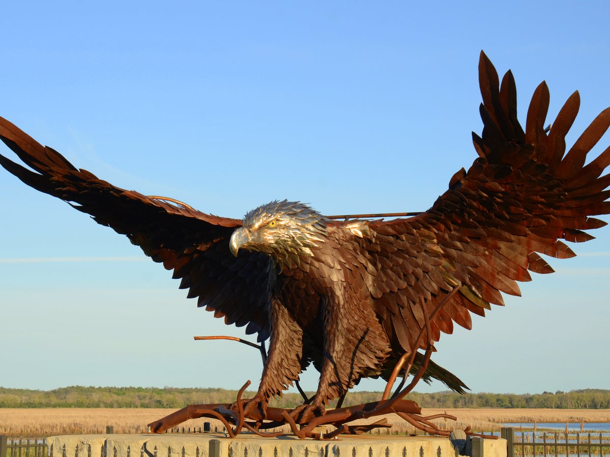A metal Bald Eagle sculpture