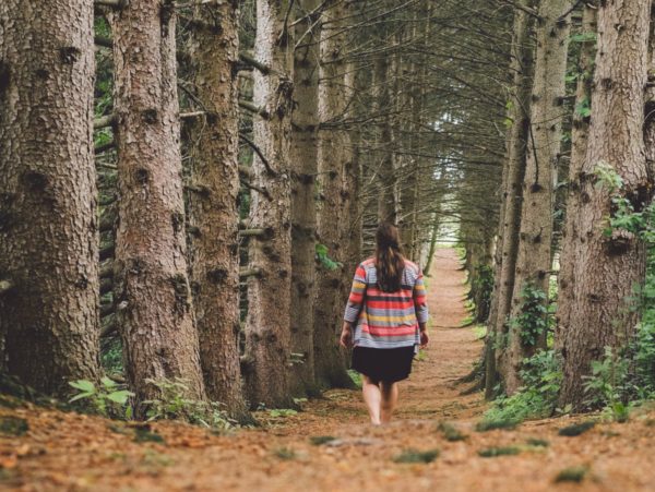 A person walking on a wooded trail