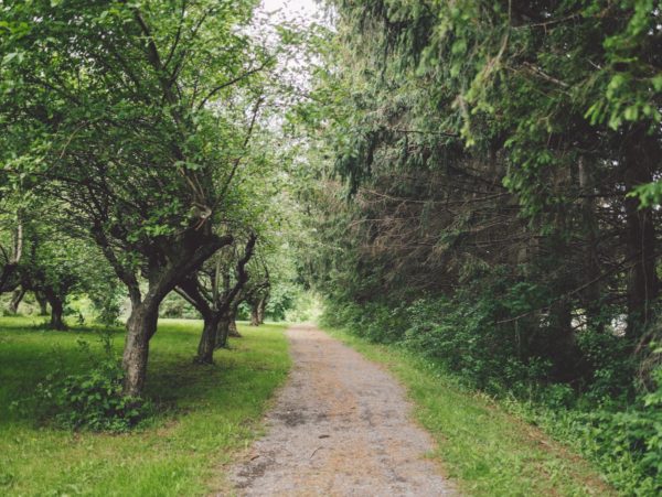 A stone dust path