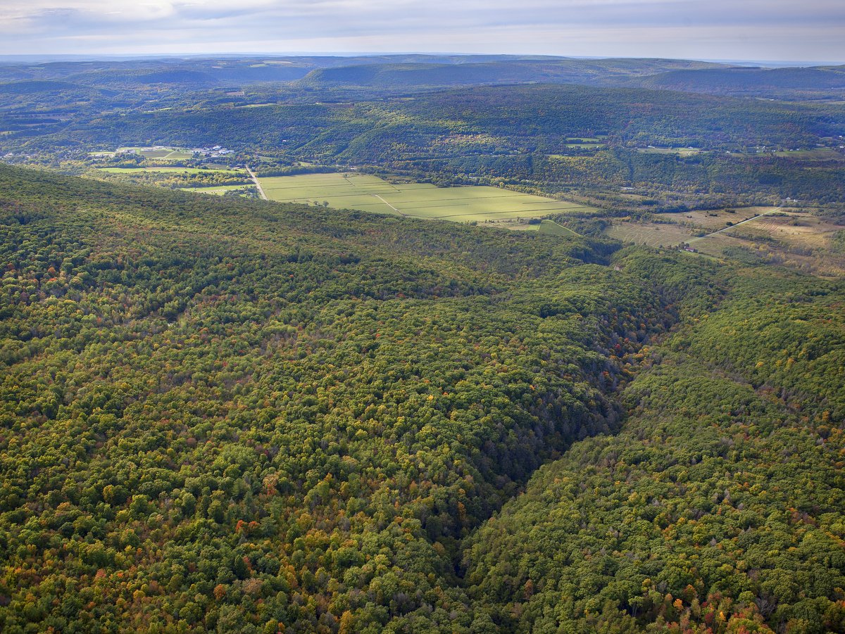 An aerial view of a large forested plateau bisected by a gorge