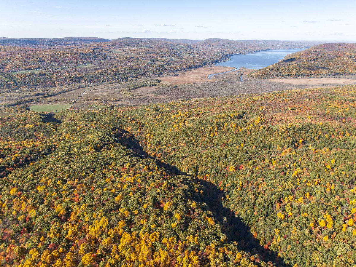 An aerial view of the south end of Canandaigua Lake