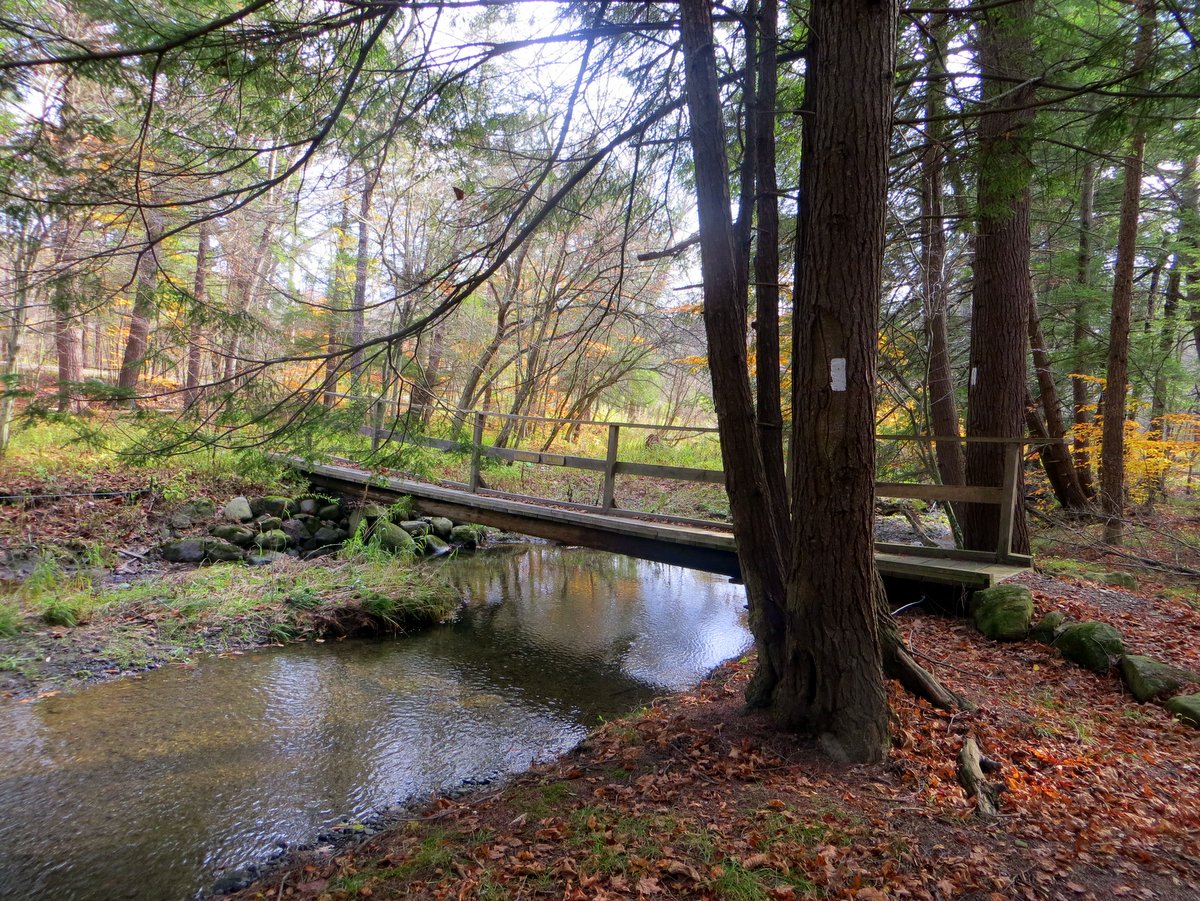A wooden bridge over a stream in the woods