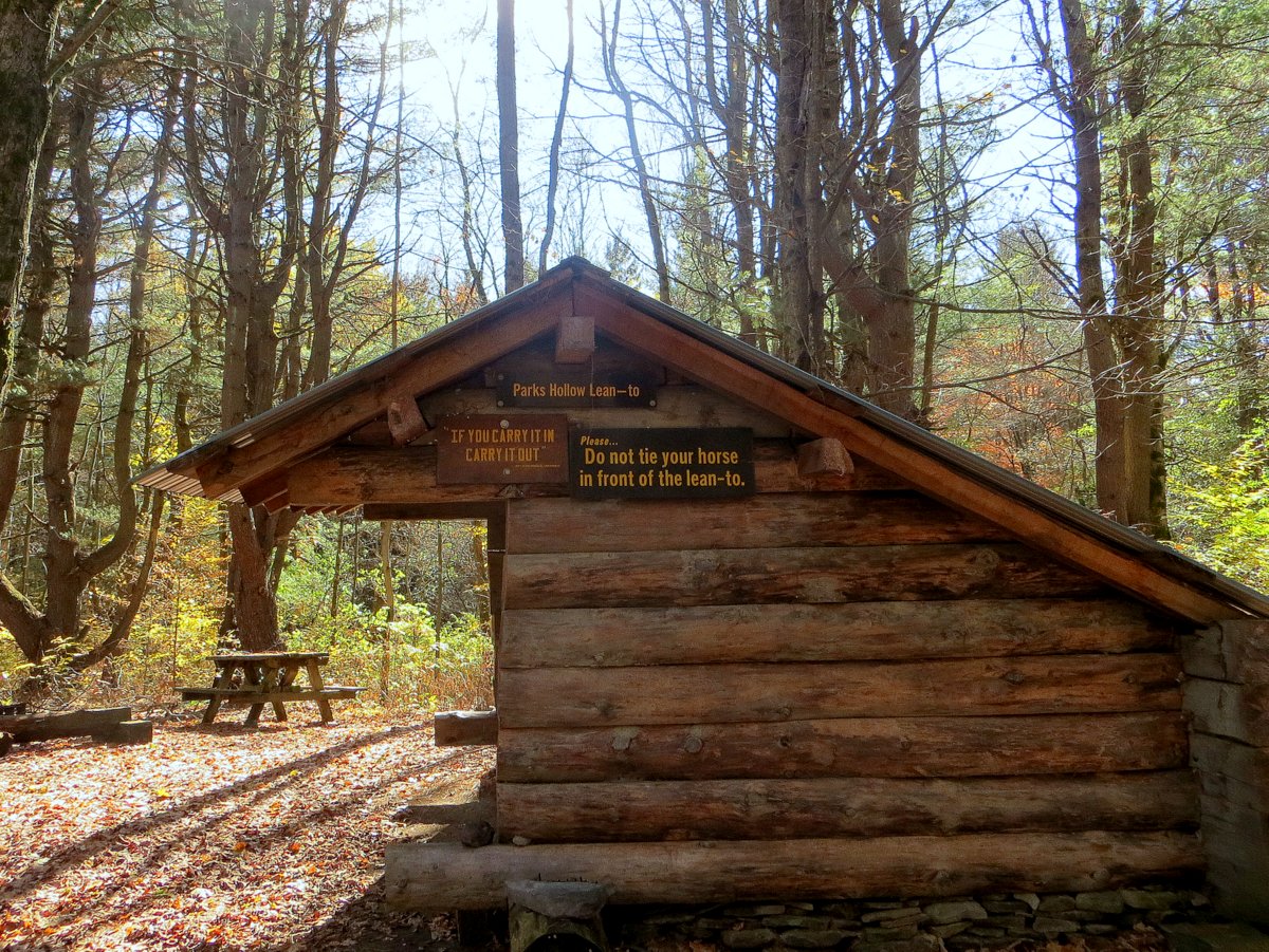 A lean-to in the woods