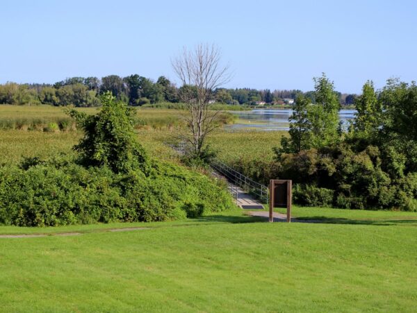 A grassy field leading to a trail