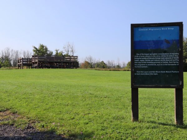 A grassy field with a viewing deck in the background and a sign in the foreground
