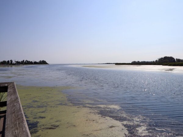 The open water of a freshwater bay