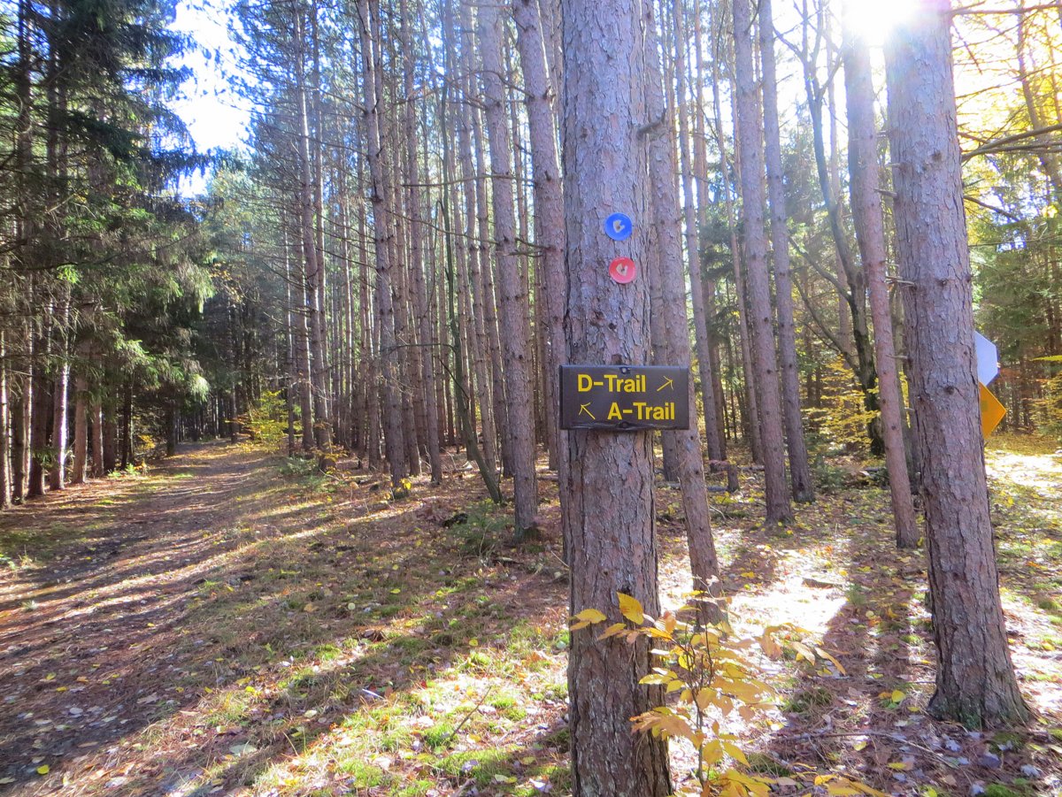A wooded path with a trail sign