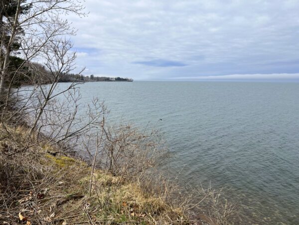 A view of a lake from a high bluff