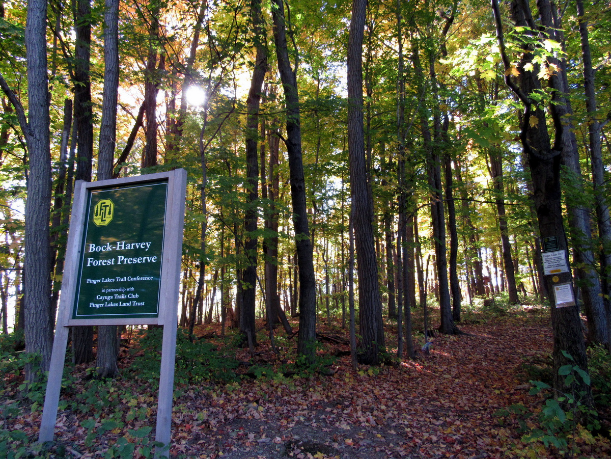 A sign marking the entrance to the Bock Harvey Forest Preserve