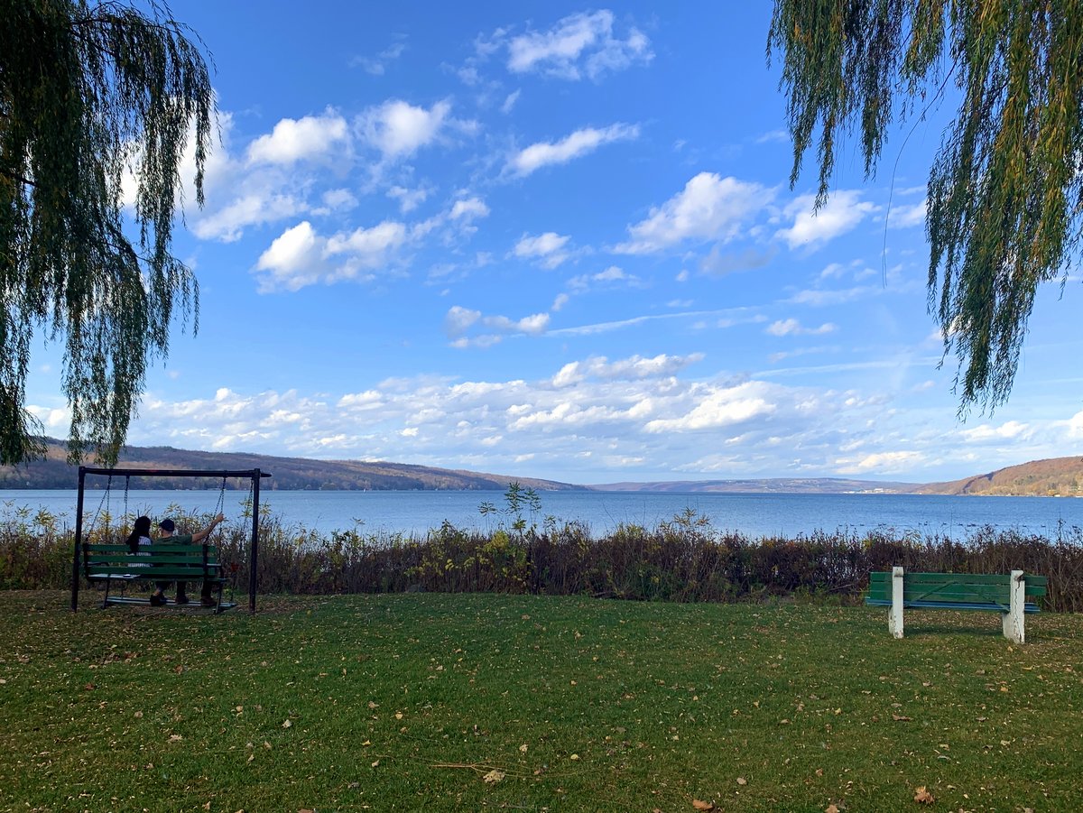 View of a lake from a park with benches