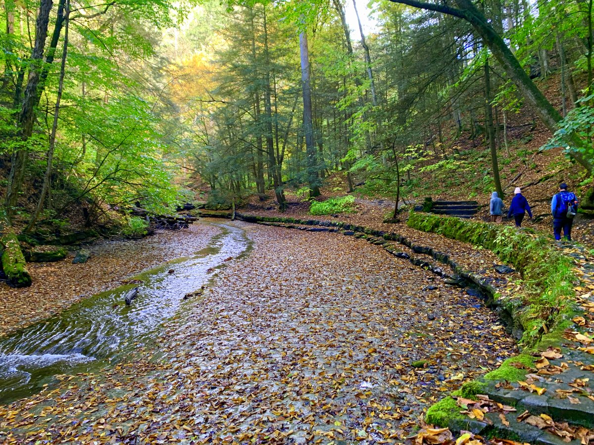 People walking along a creek