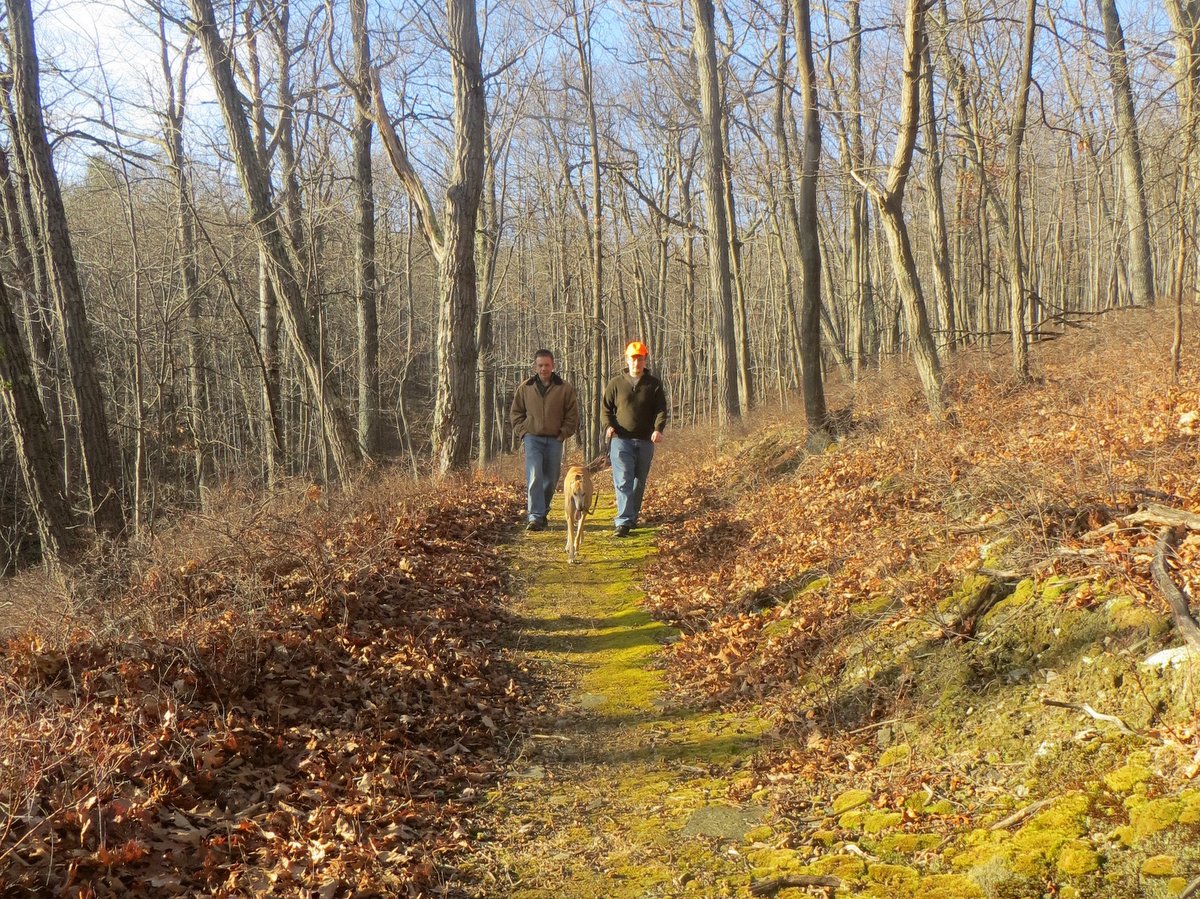 Two people and a dog on a hiking trail