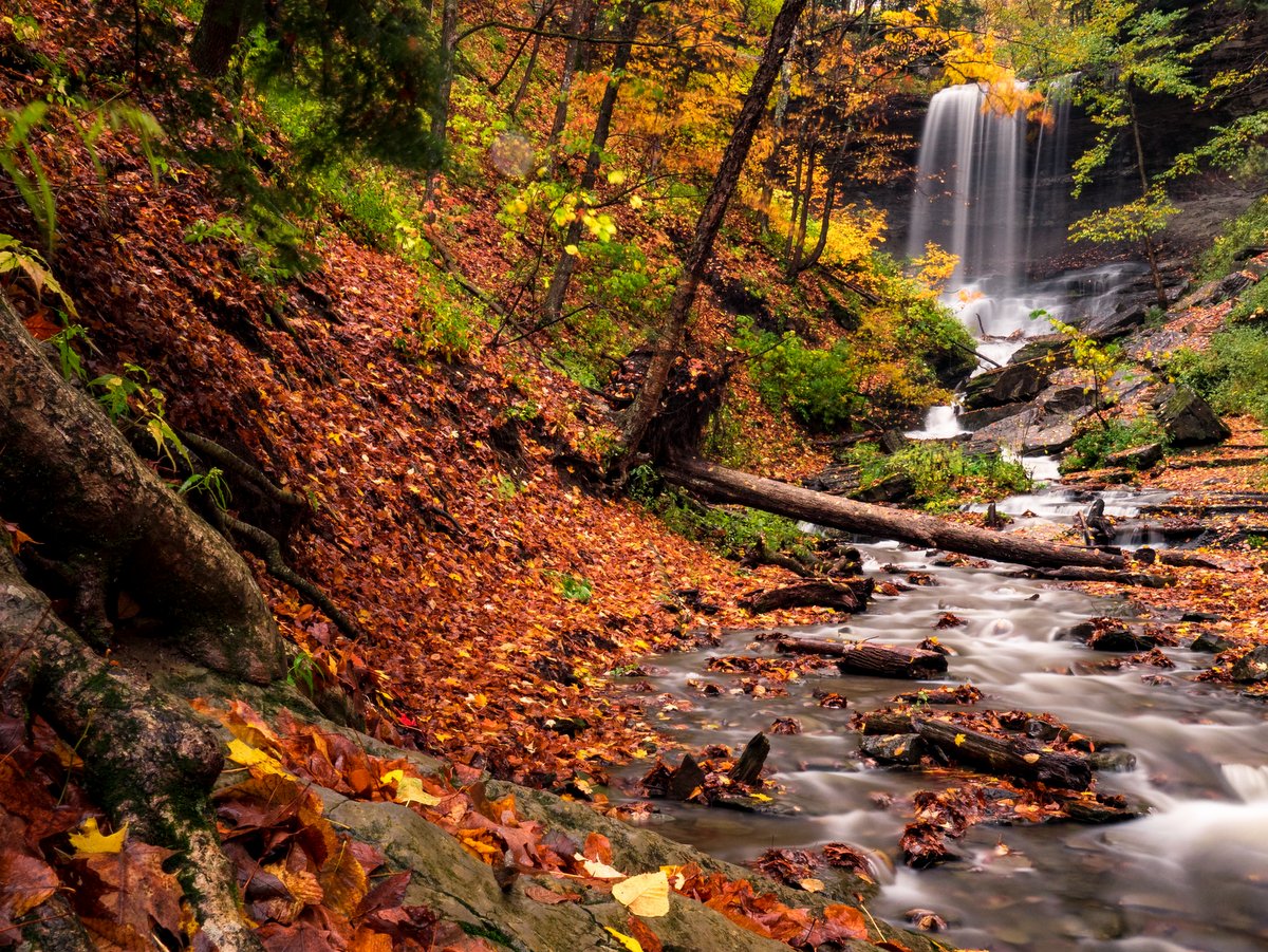 Tinker Falls at Labrador Hollow Unique Area