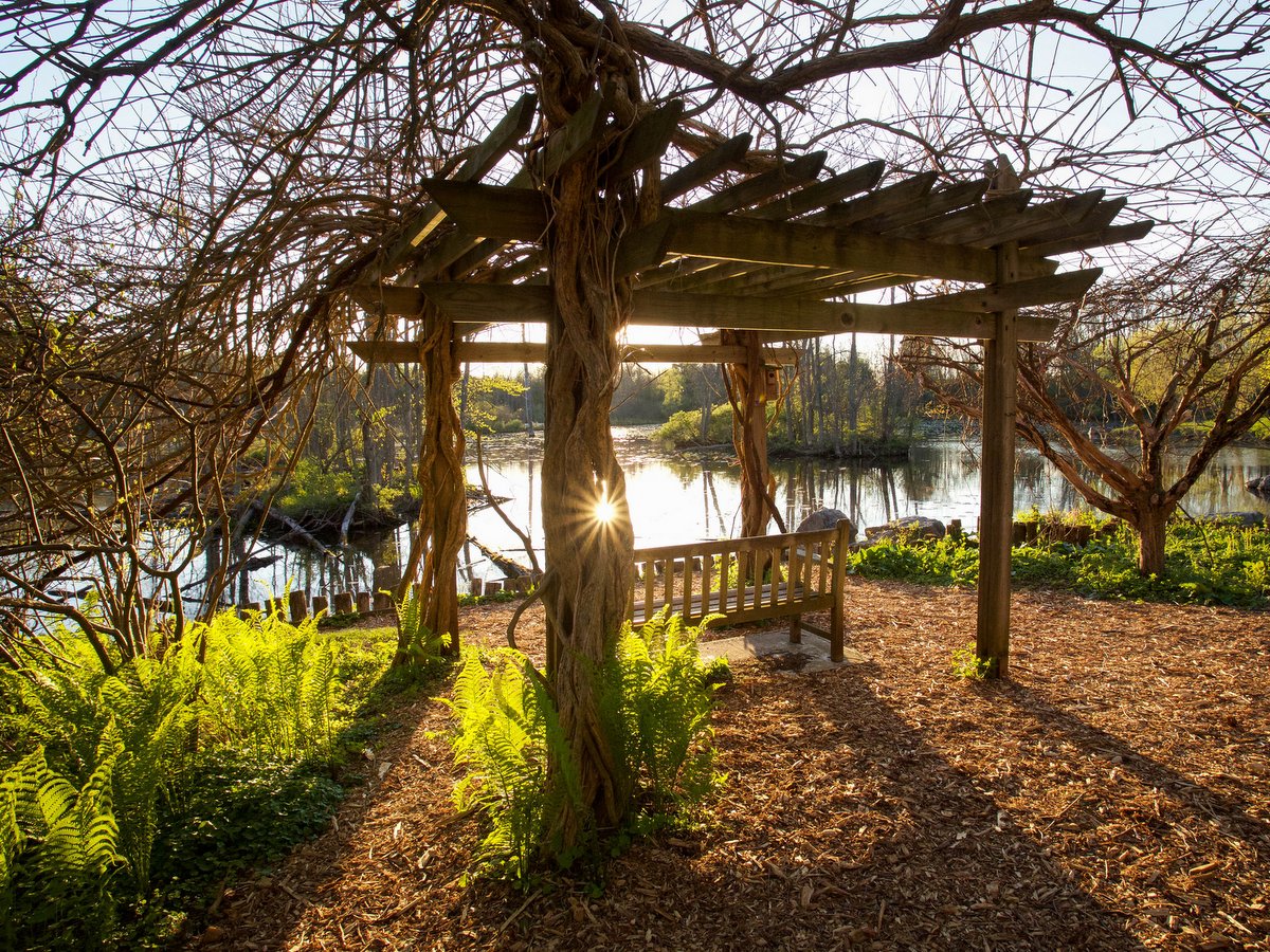 A pagoda and bench overlooking a pond